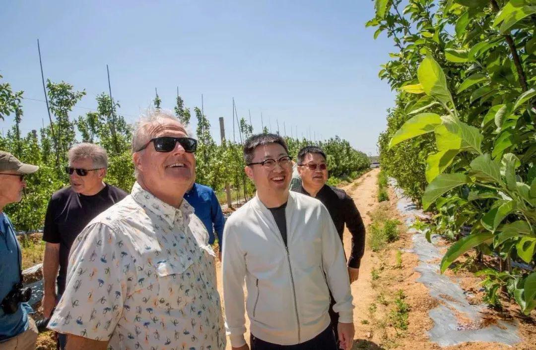 苹果养殖致富行业_种植苹果赚钱吗_种植苹果致富