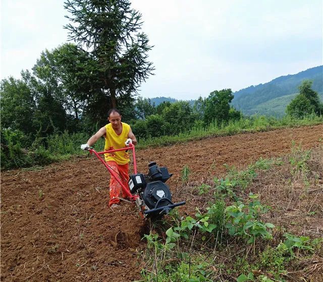 致富养殖道路有哪些_养殖致富的道路_致富路上的特色养殖业