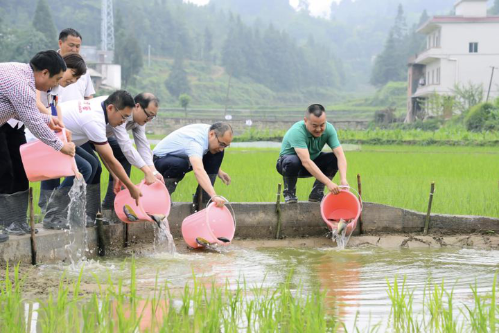 农村致富种植_湖南种植石菖蒲致富_湖南龙山种植致富