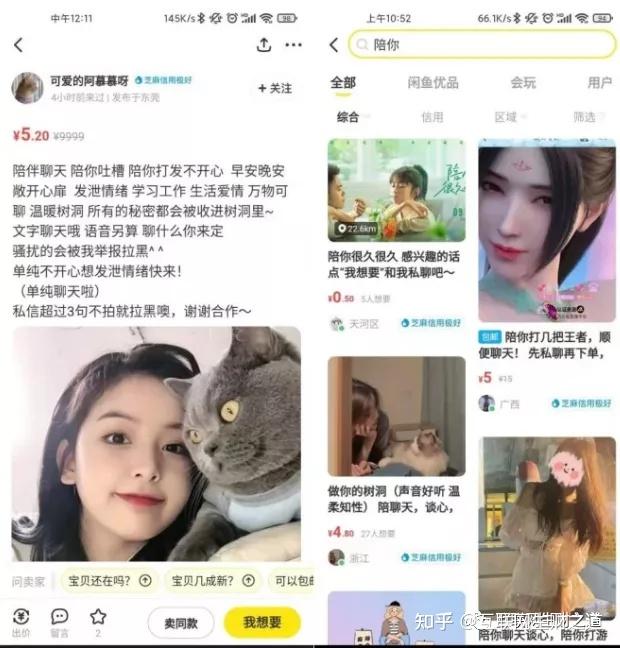 致富养殖珍禽项目介绍_珍禽养殖致富项目_养殖珍禽需要什么手续