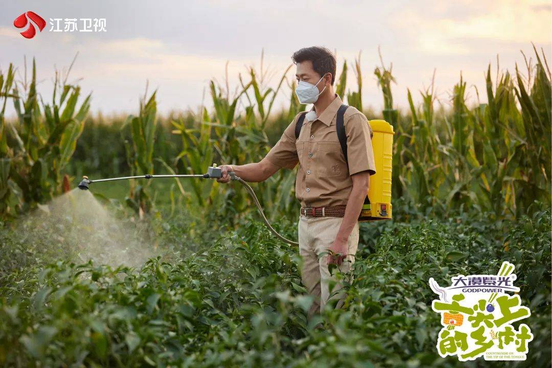 甘肃张掖种植致富_甘肃张掖制种基地_张掖种植什么