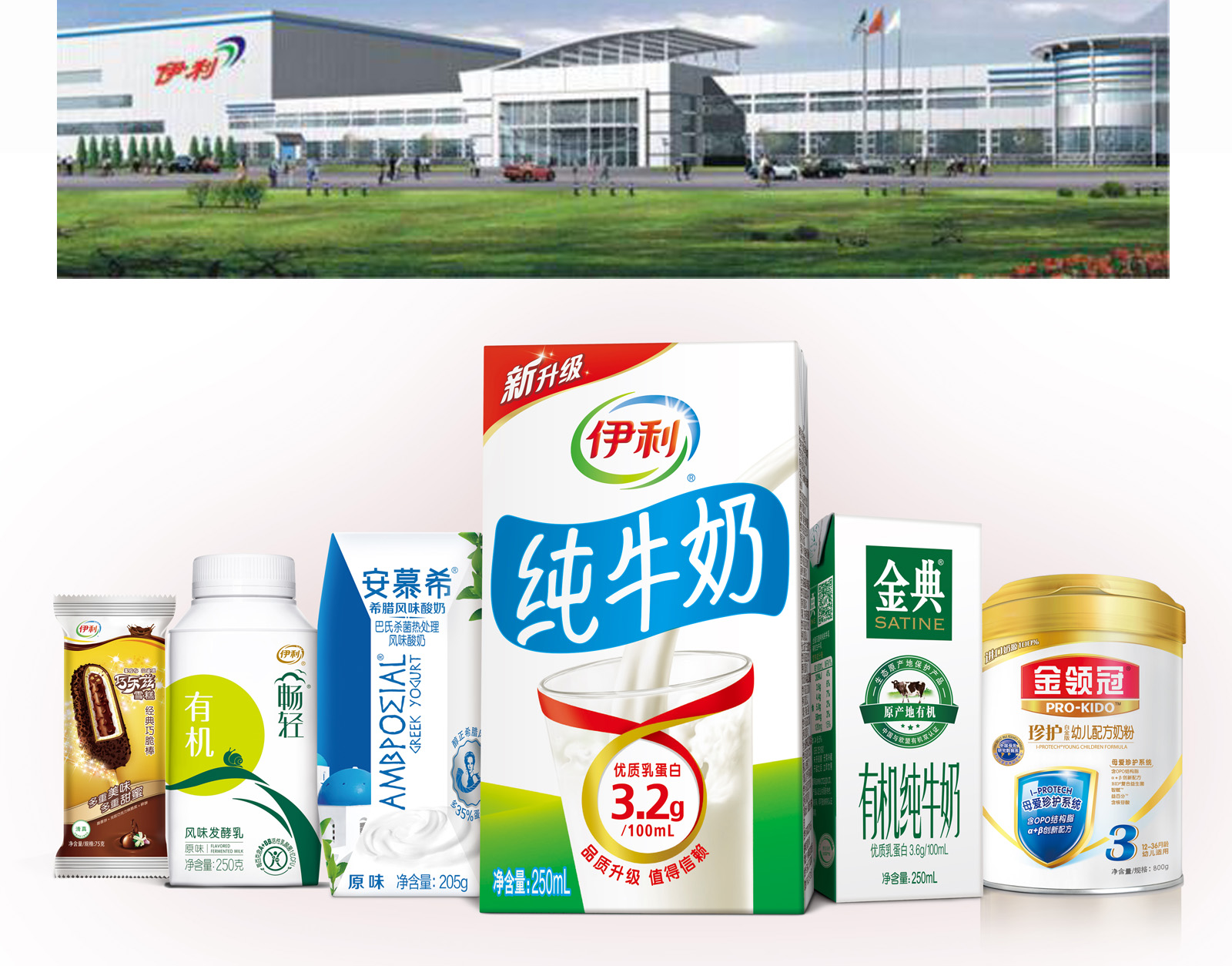 致富经玉米高筋粉_玉米粉价钱_玉米粉厂