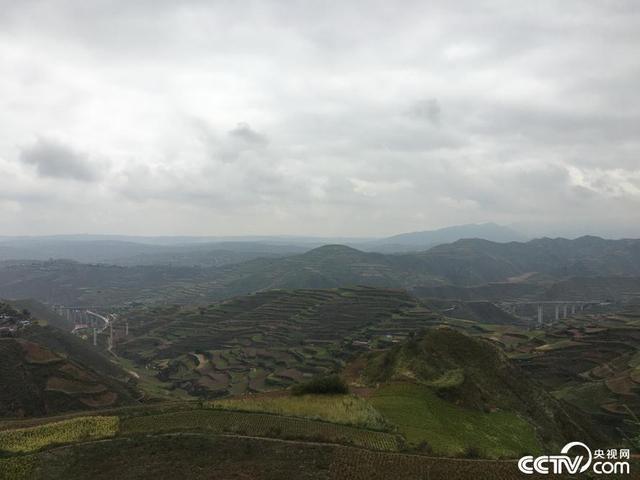 张掖适合种植的农作物_甘肃张掖制种基地_甘肃张掖种植致富