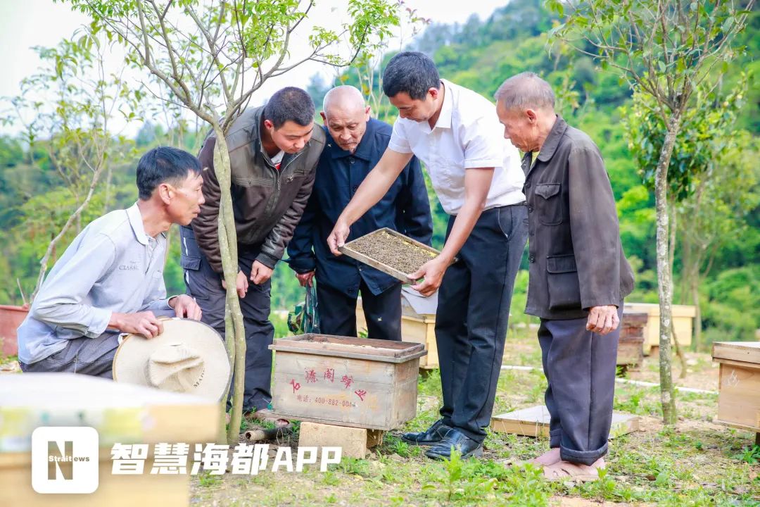 残疾人养殖团队_残疾人养殖什么挣钱_残疾人养殖致富之路