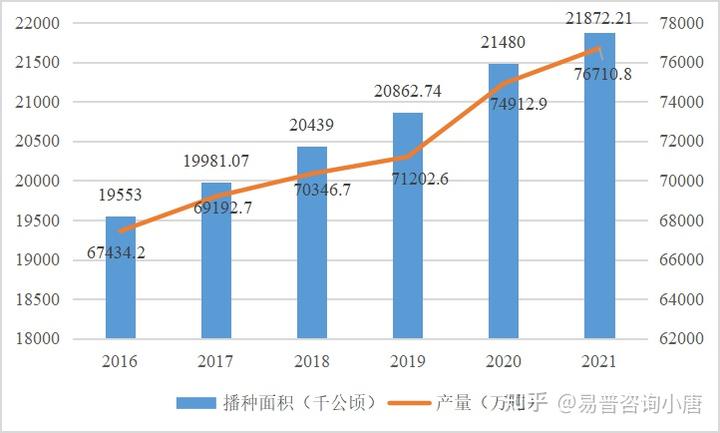 蔬菜种植市场分析