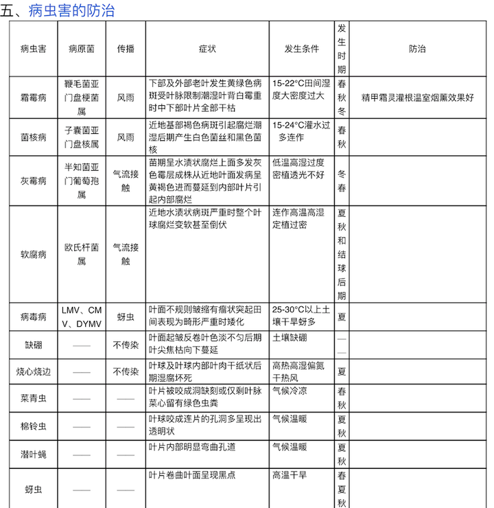 关于那生菜种子的种植技术全在这里了