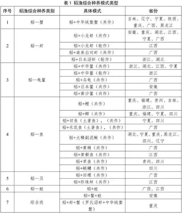 养殖泥鳅富豪_致富经哈尼梯田养泥鳅_泥鳅养殖户抱团致富