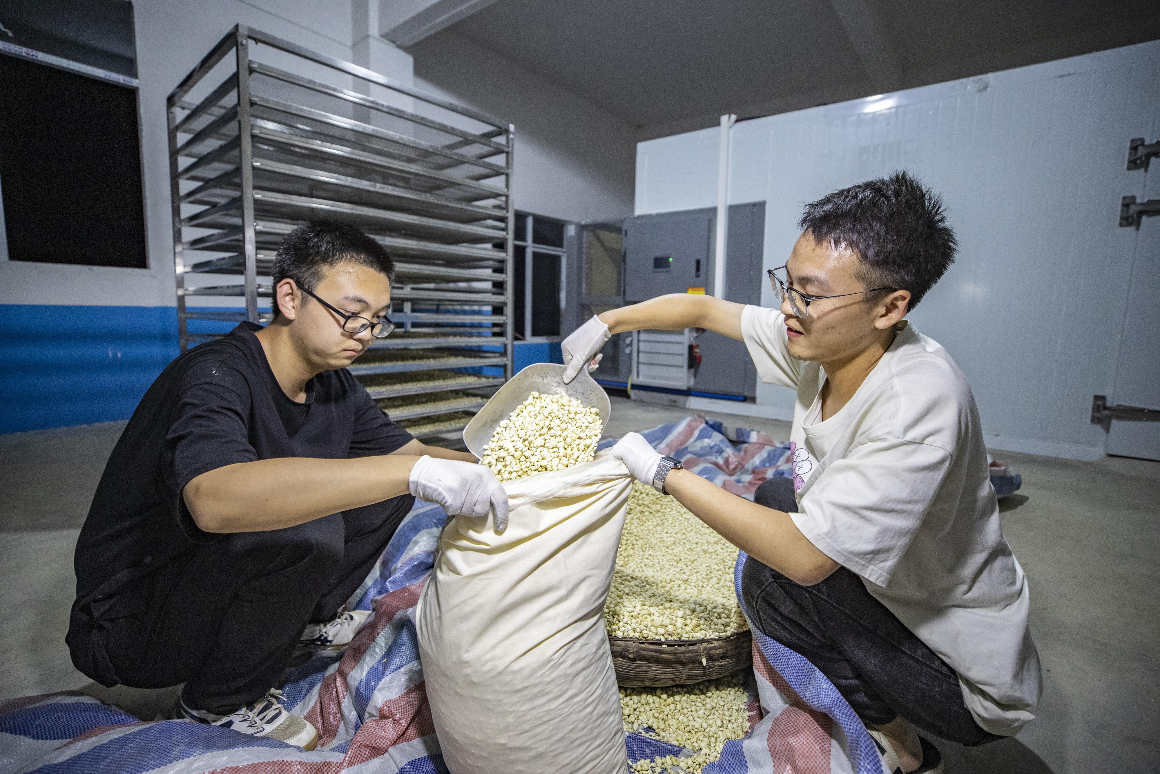 贝母种植技术视频播放_山东哪里有种贝母_山东贝母种植技术