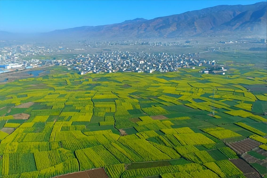 致富种植葡萄图片_种植葡萄致富_种植葡萄赚钱吗