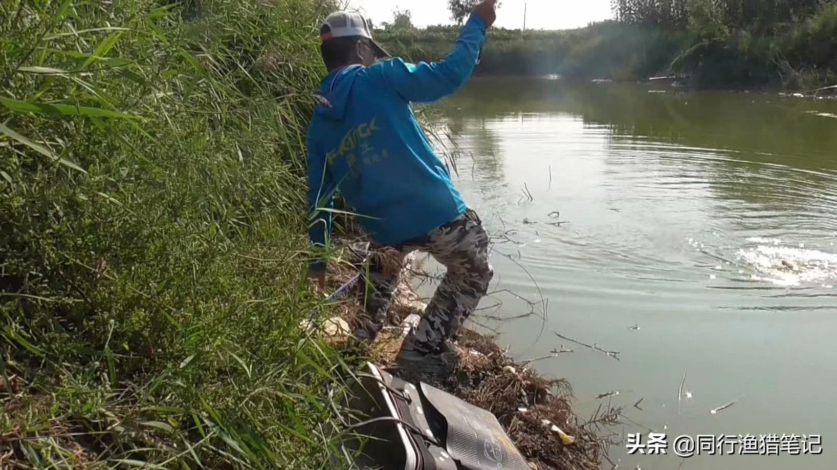 鲤鱼养殖规模技术要求_鲤鱼规模养殖技术_鲤鱼养殖规模技术规范