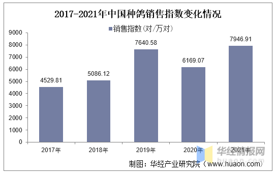 肉鸽养殖介绍_肉鸽养殖技术问答_肉鸽的养殖效益如何