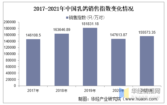 肉鸽养殖介绍_肉鸽的养殖效益如何_肉鸽养殖技术问答