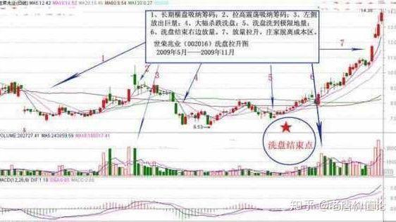 臭椿的种子功效与作用_臭椿种子的药用价值_种植臭椿致富方法