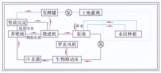 加州养殖鲈鱼成鱼技术要求_加州养殖鲈鱼成鱼技术视频_加州鲈鱼成鱼养殖技术