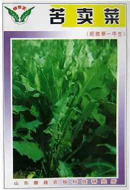 麻菜籽油是什么油_油麻菜种植技术_油麻菜种植方法和时间