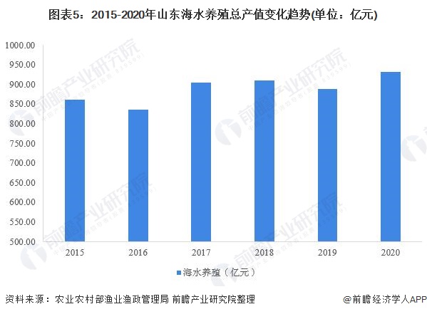 海水养殖鱼类致富_海水养殖什么鱼赚钱多_海水致富养殖鱼类有哪些