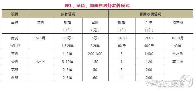 鲤鱼养殖规模技术规程_鲤鱼养殖规模技术要求_鲤鱼规模养殖技术