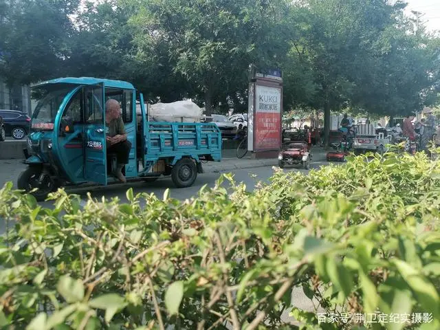 养殖奶羊的风险和利润_奶羊养殖 致富_致富经奶羊养殖方面的视频