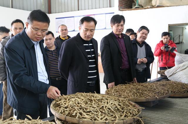 农民增收致富种植_农民种地致富_为农民增收致富