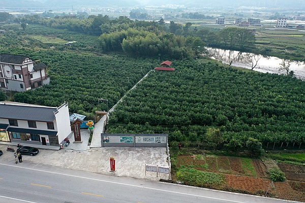 资源沃柑种植示范园鸟瞰图