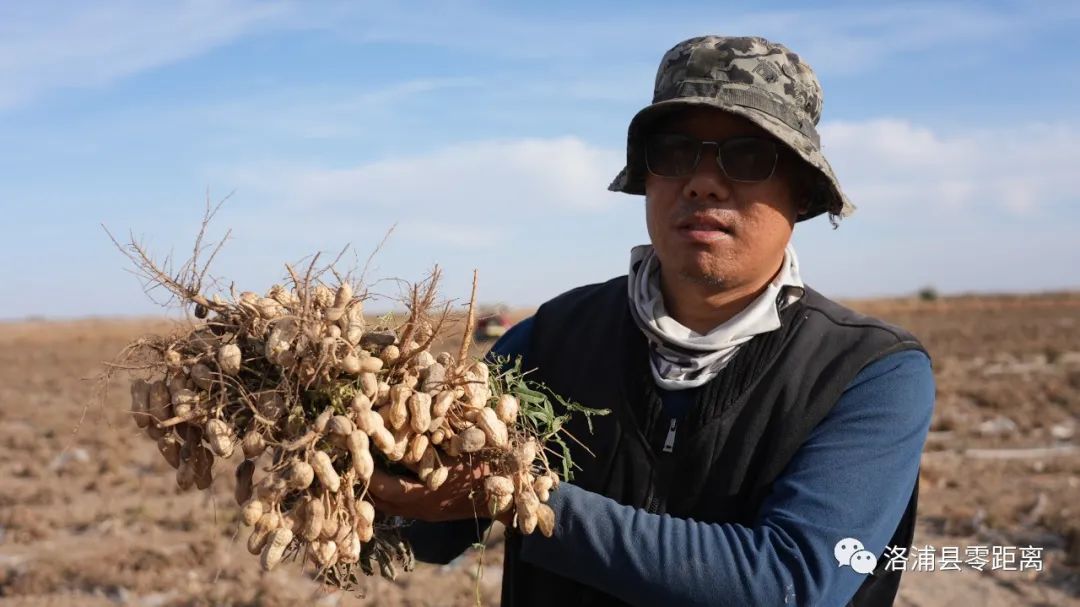 农村种植花生致富_农村种花生的利润_花生种植赚钱吗