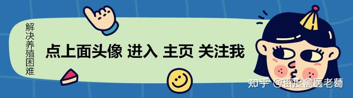 产蛋鸭旱鸭养殖技术_旱鸭蛋鸭的养殖与技术_养蛋鸭旱鸭的养殖场图