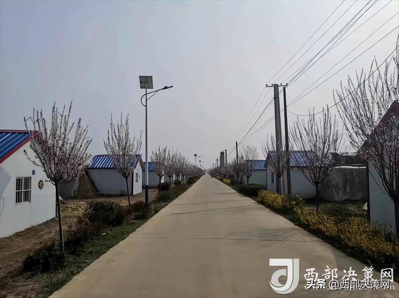 陕西宝鸡适合种植什么药材_宝鸡种植致富_宝鸡种植结构