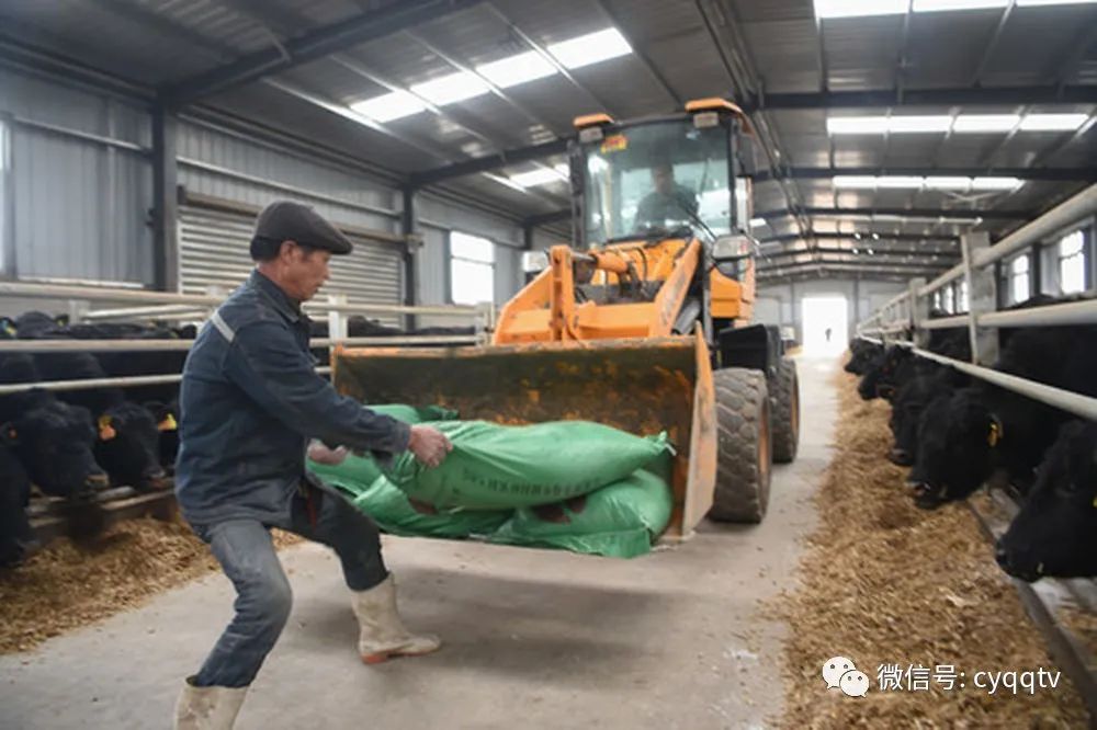 内蒙古养殖什么最赚钱_内蒙古养殖大户_养殖致富内蒙