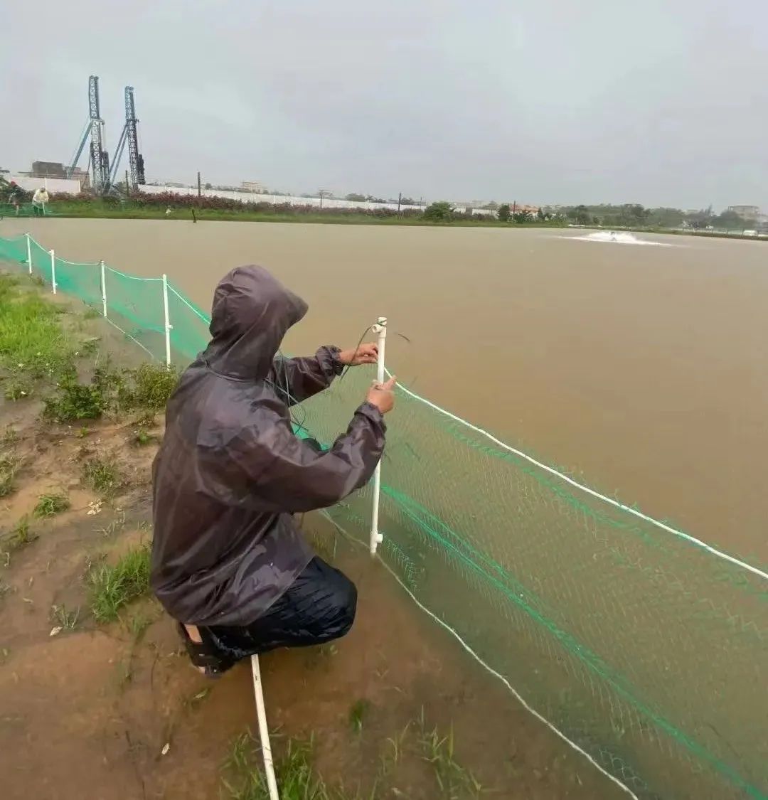 台湾泥鳅养殖技术视频._台湾泥鳅养殖前景_台湾泥鳅养殖技术视频教程