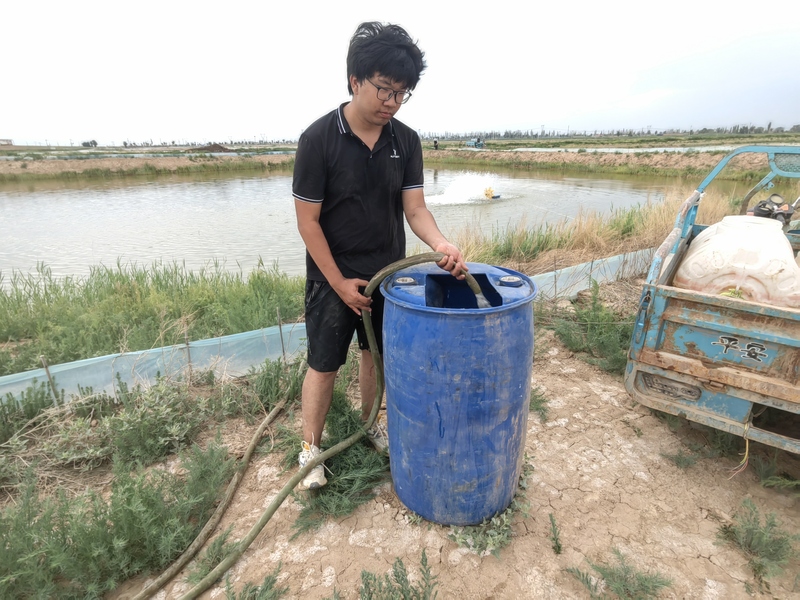 塞北种植致富花_塞北种植致富花_塞北种植致富花