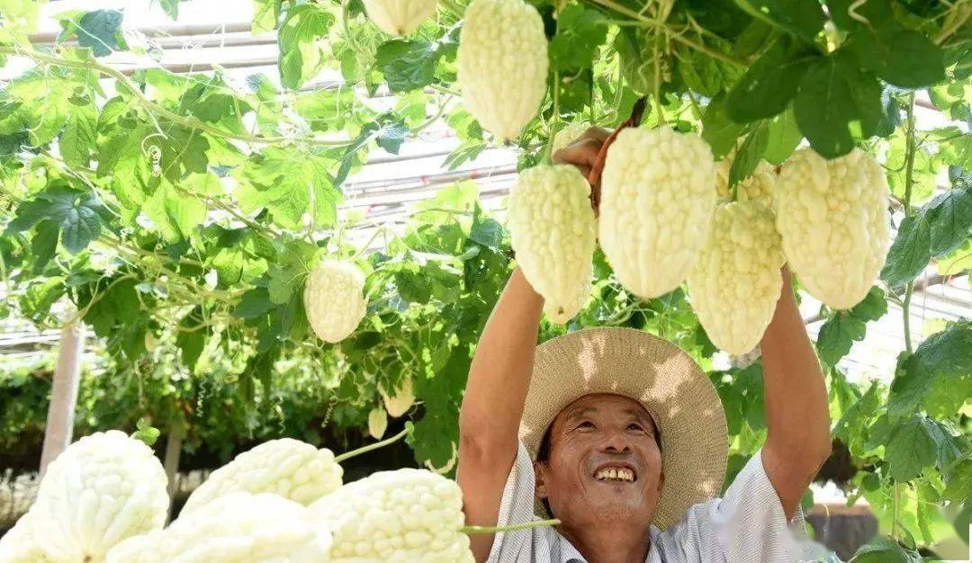 空房养殖致富项目_致富养殖空房项目有哪些_空房子养殖什么挣钱快