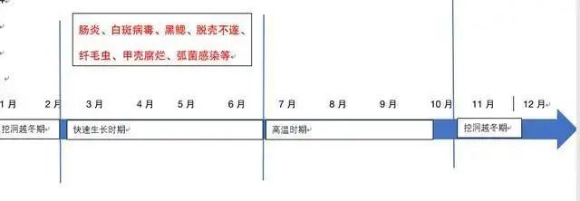 养殖致富经_致富养殖新型方案设计_新型养殖致富方案