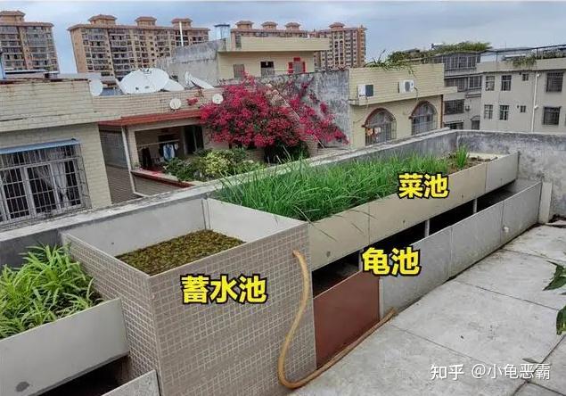 种植宠物致富_宠物养殖创业_养殖宠物赚钱