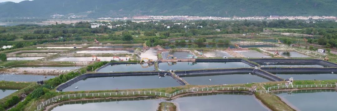 鱼塘海水养殖技术_海水养殖鱼塘技术规范_海水养殖鱼塘技术视频