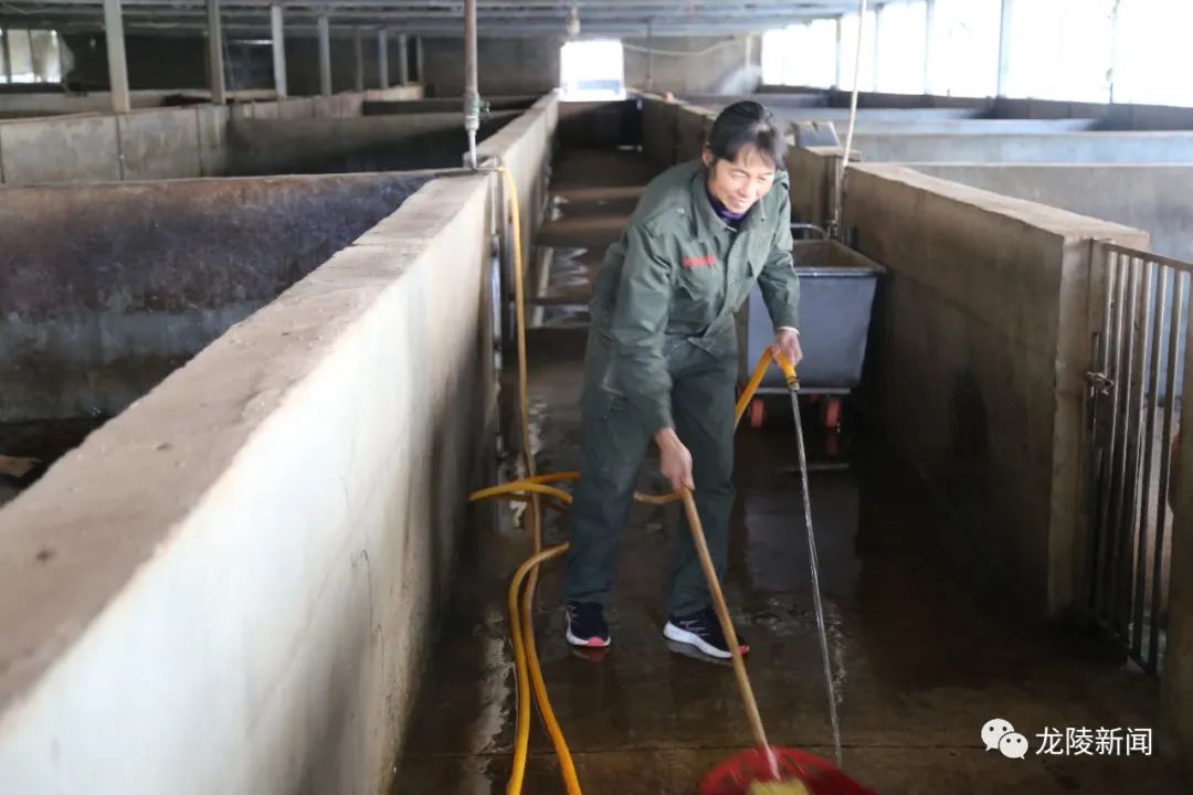 福建养殖业什么最赚钱农村_福建山区养殖致富_福建农村养殖扶贫项目