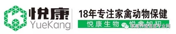 特效组合药品治疗鸭鹅病毒性浆膜炎，用药12小时立即控制死亡！