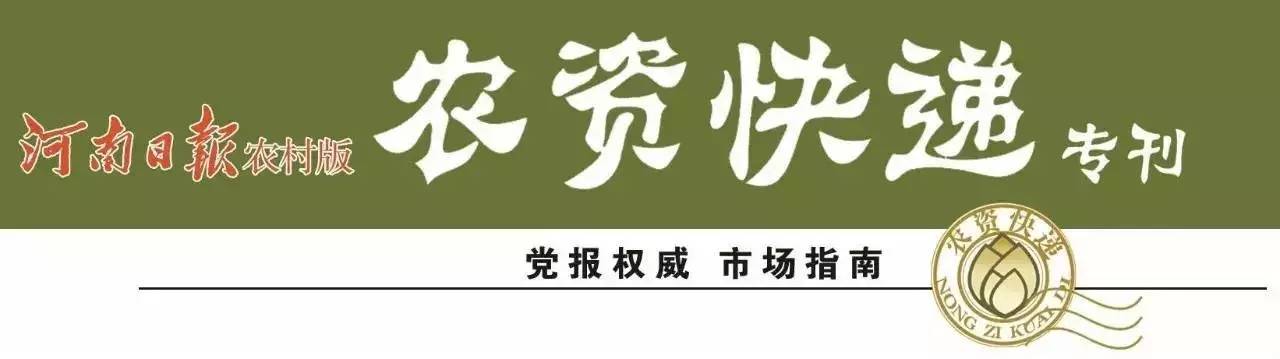 非洲雁饲养技术_关于非洲雁养殖技术_非洲雁养殖视频