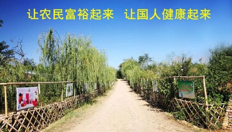 创业种植致富之路有哪些_种植致富经创业项目_致富之路小投资