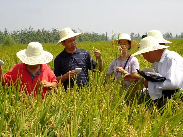 新型养殖致富方案_致富养殖业_致富养殖新型方案设计