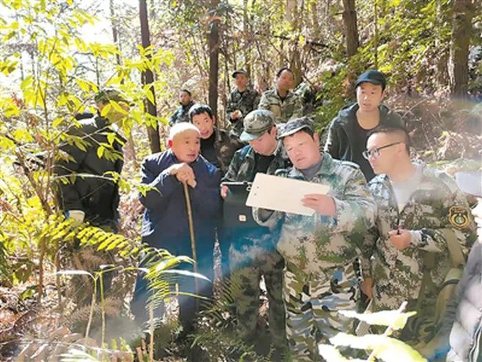 常山种植致富项目_海州常山种植方法_常山农庄