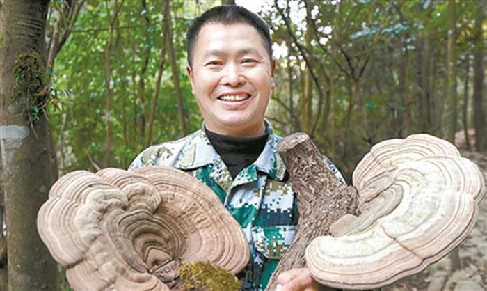 海州常山种植方法_常山种植致富项目_常山农庄