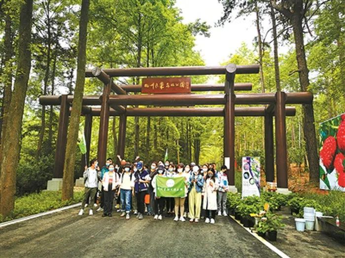 海州常山种植方法_常山农庄_常山种植致富项目