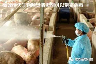 养殖业生物除臭技术_养殖厂除臭_养殖场生物除臭