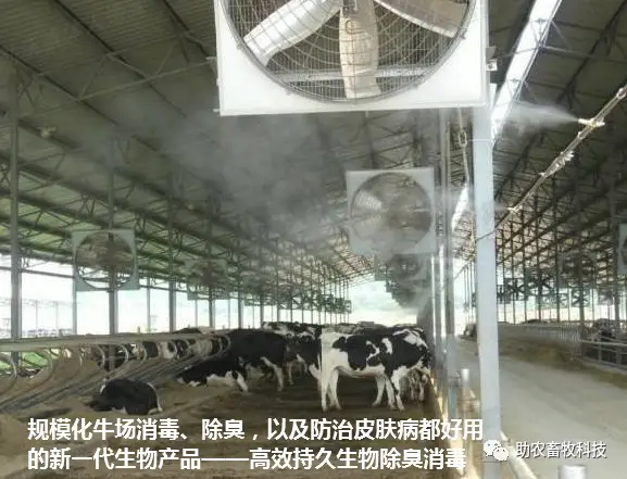 养殖业生物除臭技术_养殖场生物除臭_养殖厂除臭