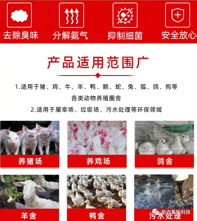 养殖业生物除臭技术_养殖场生物除臭_养殖厂除臭