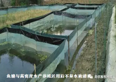 养殖业生物除臭技术_养殖场生物除臭_养殖厂除臭