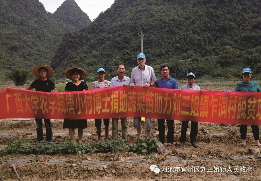 农村致富新项目种植_宜州农村致富种植_农村致富种植养殖技术