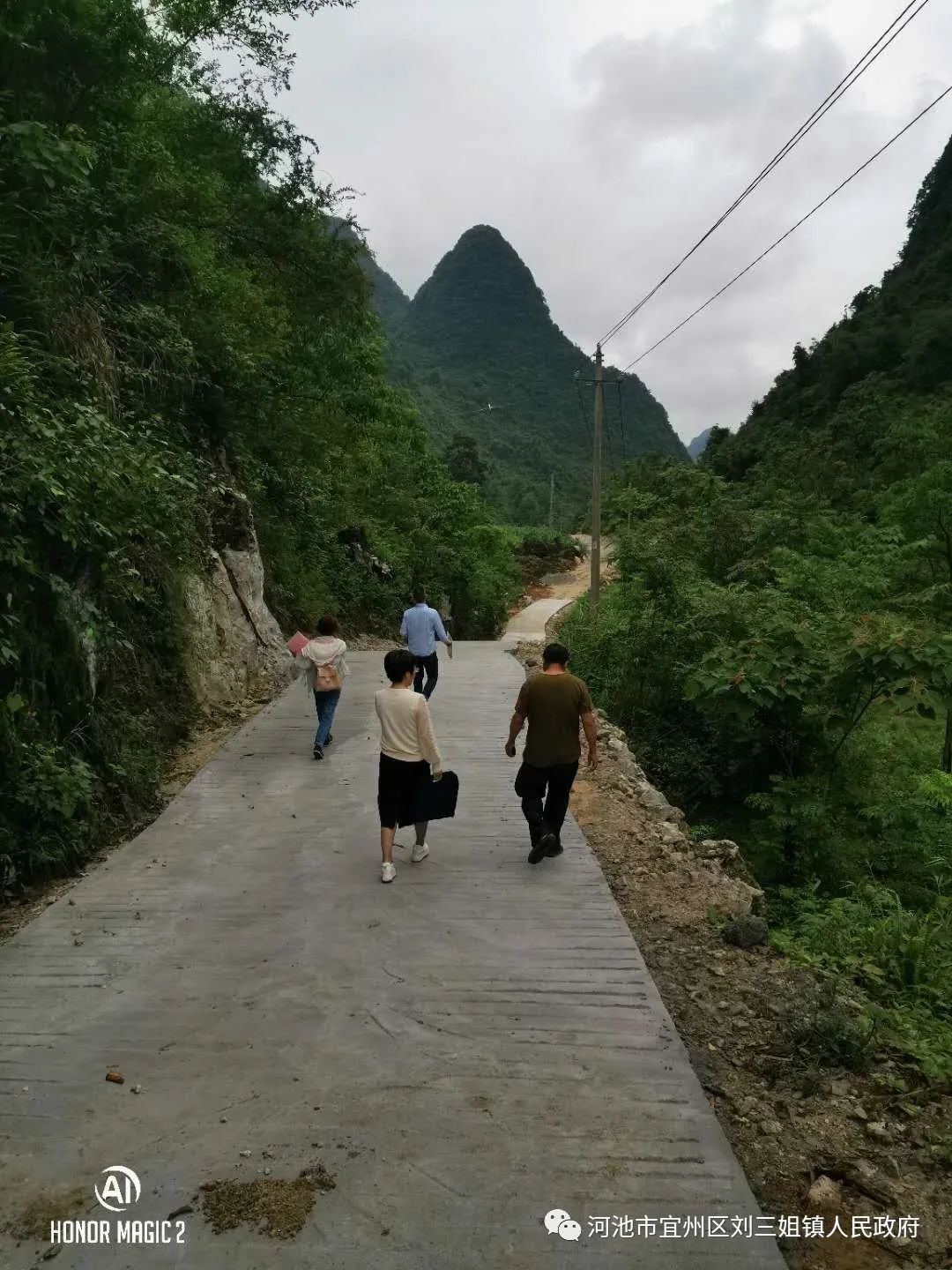 宜州农村致富种植_农村致富种植养殖技术_农村致富新项目种植