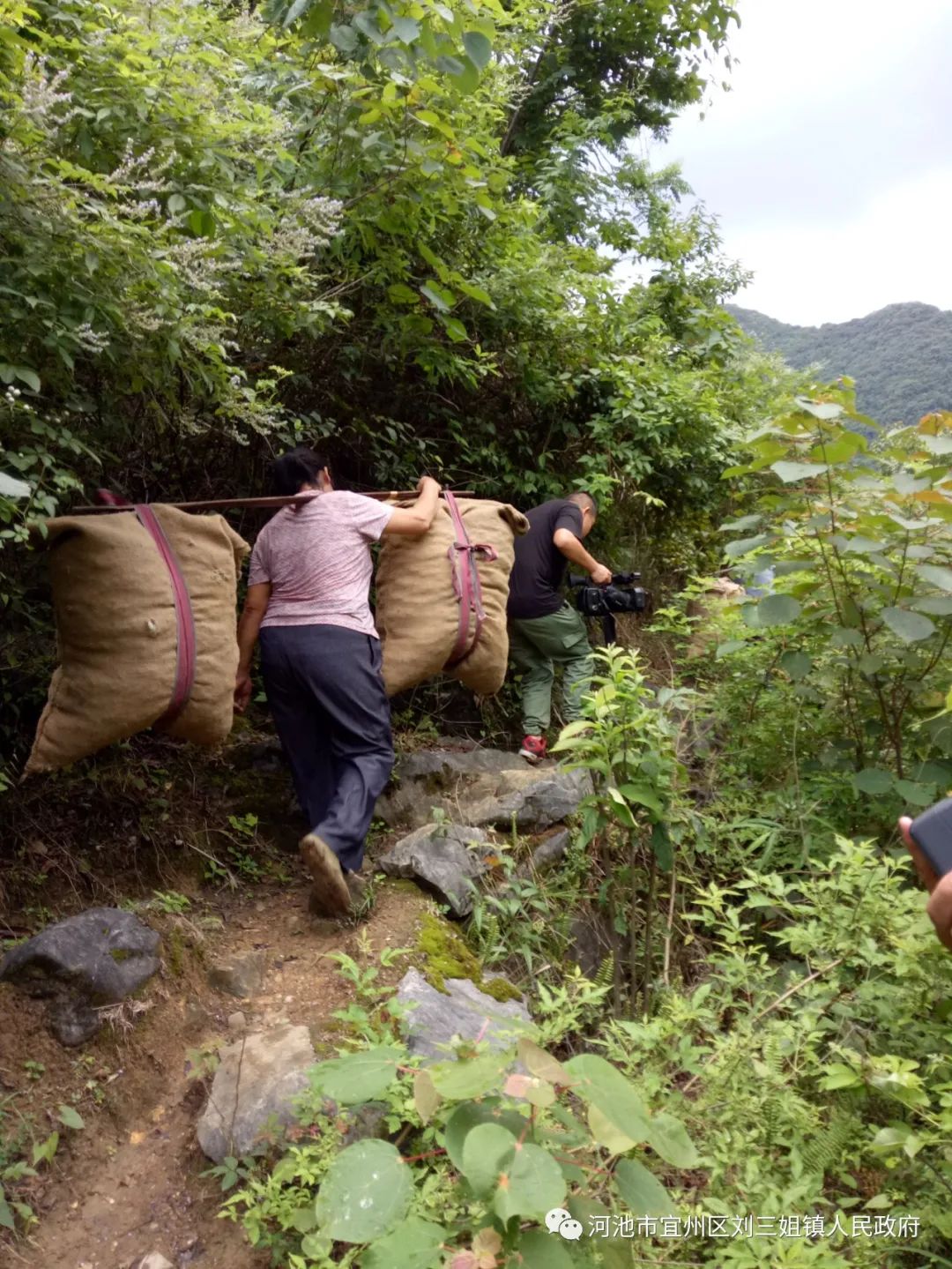 农村致富种植养殖技术_宜州农村致富种植_农村致富新项目种植