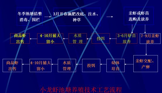 淡水虾北方养殖技术_淡水虾养殖技术教学视频_淡水虾养殖池